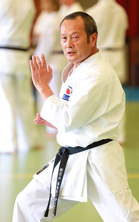 SEIICHI FUJIWARA HANSHI